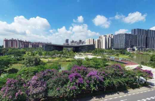 生态、空间多层叠加，未来横沥岛尖长这样