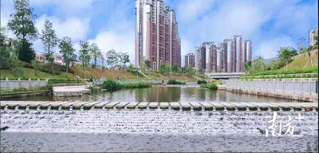 东莞石马河之变③清溪：打造“天蓝、水碧、山青”美丽清溪