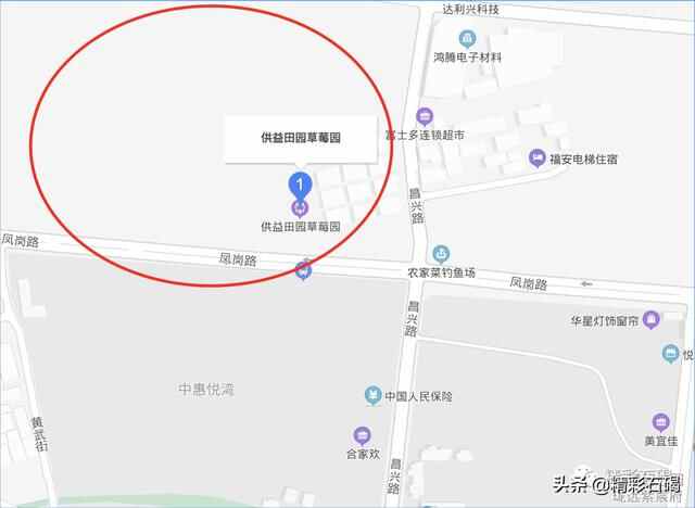 【美丽石碣】秋日“打卡”！石碣生态绿地感受美丽田园风光！