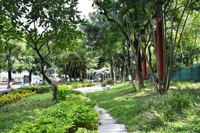 @莞城街坊，5个高颜值“口袋公园”请查收