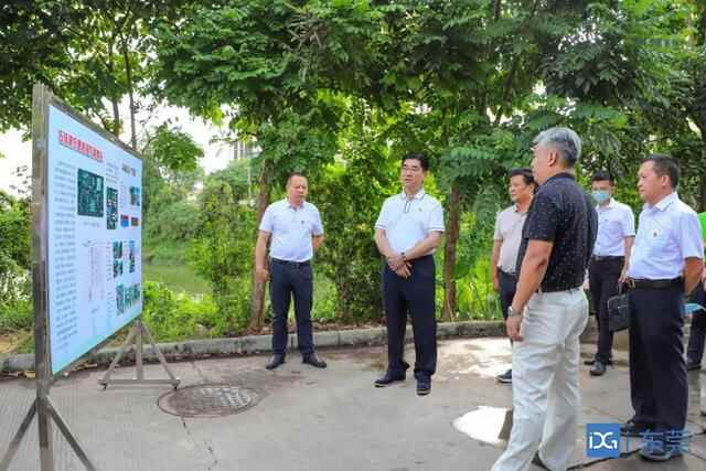 石排推进**碧道建设 实现慢行+跑步+骑行“三道合一”