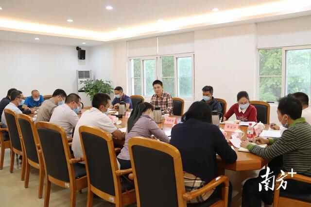 鼓足干劲谋发展！望牛墩召开第三季度经济形势分析会