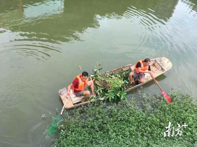 望牛墩以河长制促“河长治”，共同维护碧水清流
