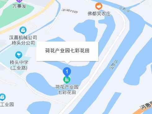 千亩荷塘边，桥头首个露营节即将开幕