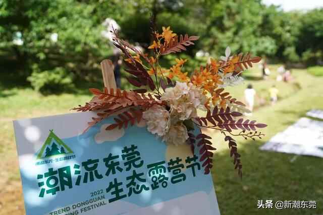 今天，厚街这个地方刷屏了