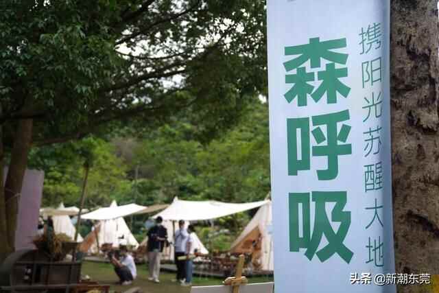 今天，厚街这个地方刷屏了
