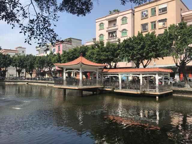「奋进“新起点”城管新作为⑧」东莞厚街城管分局长林飞：用“绣花”功夫持续推动全...