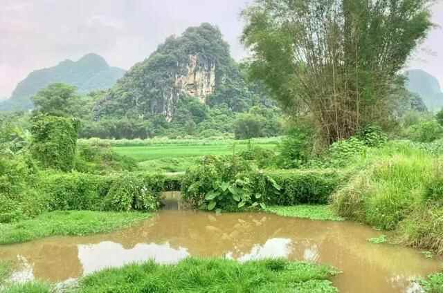 【乡村振兴】怀集桥头镇：盘活撂荒地，赋能产业发展新势头