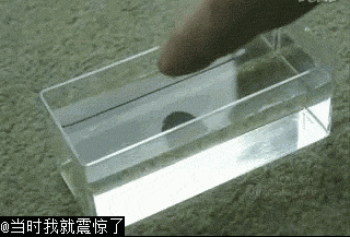 石碣镇青少年宫|第一场公益PBL科普课题来啦！快来看看【东聚成长课堂】活动