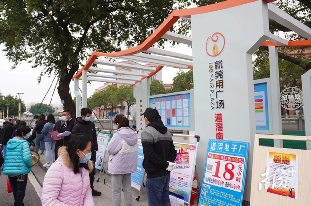 聚焦东莞“放管服”改革②|“就莞用”精准赋能公共就业，全面提升人力效能