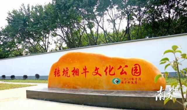 横沥张坑村｜提颜值强气质，共绘乡村“田园梦