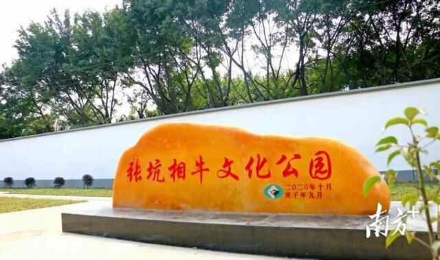 横沥张坑村｜提颜值强气质，共绘乡村“田园梦