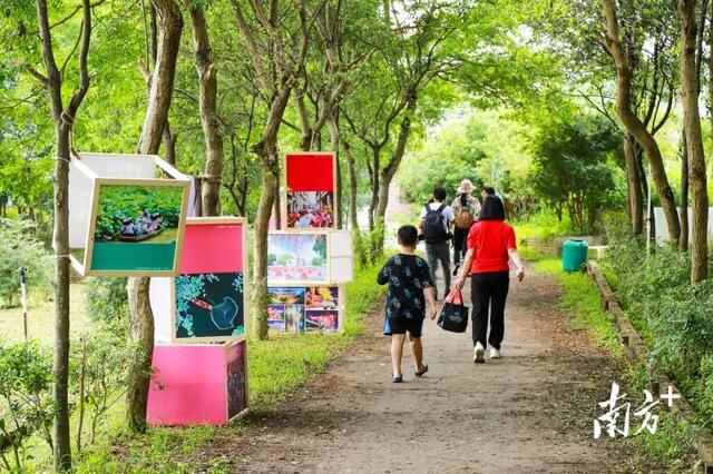 多图丨沿江看风景，发现新东莞！东莞市第三届“大美东江”摄影大赛在石碣启动