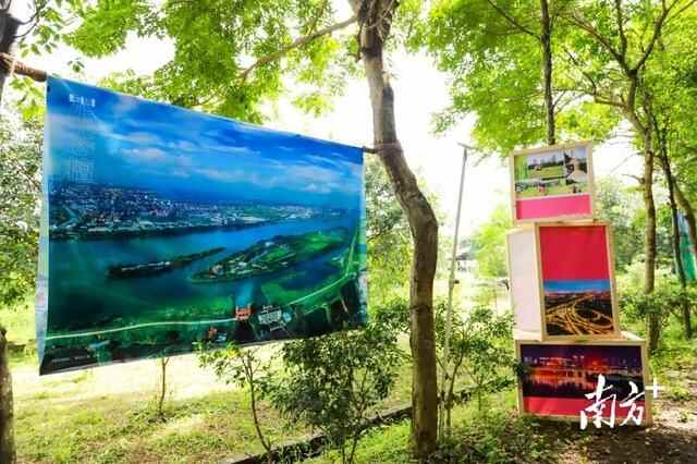 多图丨沿江看风景，发现新东莞！东莞市第三届“大美东江”摄影大赛在石碣启动