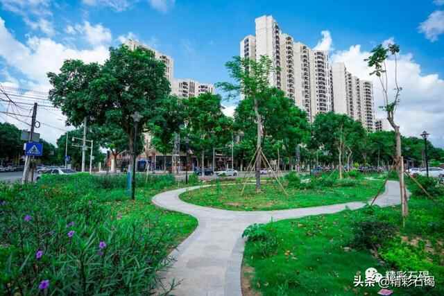 ​明确了！石碣今年计划打造2个示范片区，创建一条乡村振兴示范带！