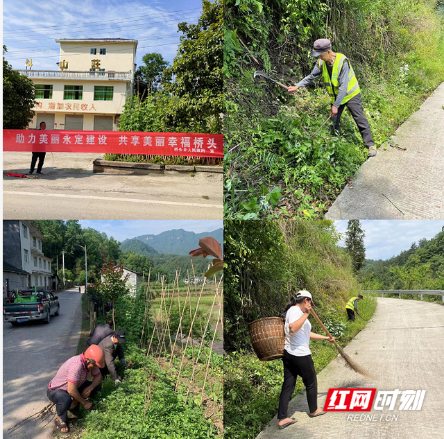 永定区桥头乡：整治农村人居环境 助推“美丽永定”建设