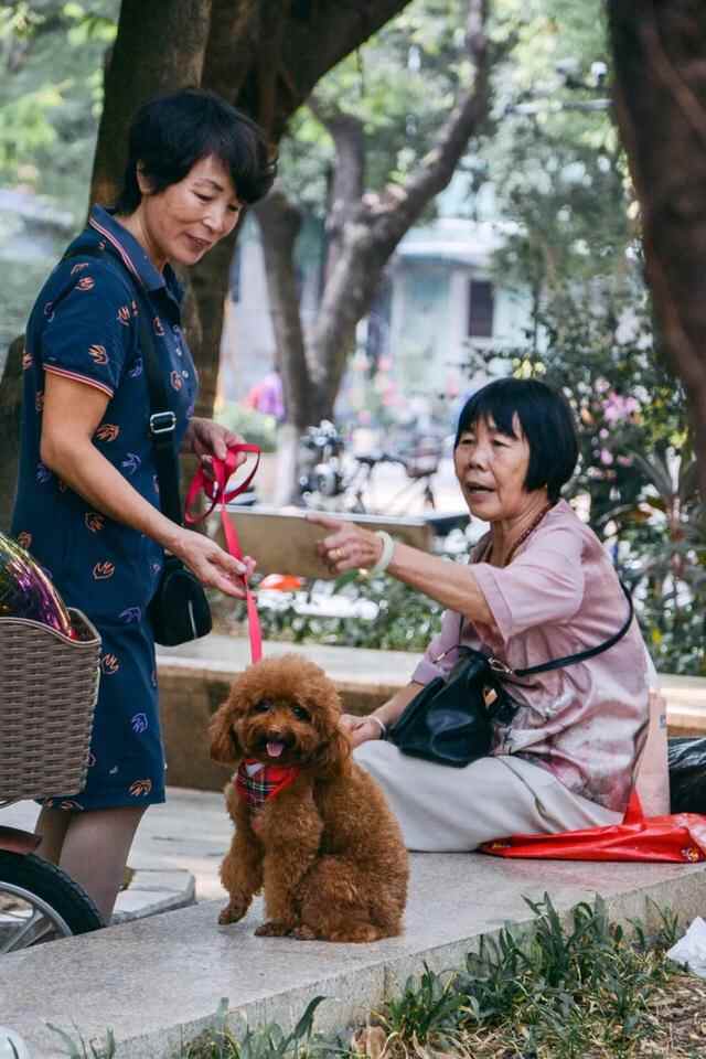 穿梭在石龙的大街小巷，能听到怎样的石龙话？