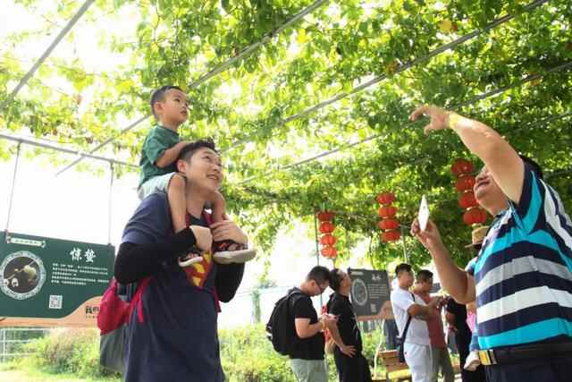 爱在企石丨抓住春天的尾巴！在企石，春日必做的几件小事