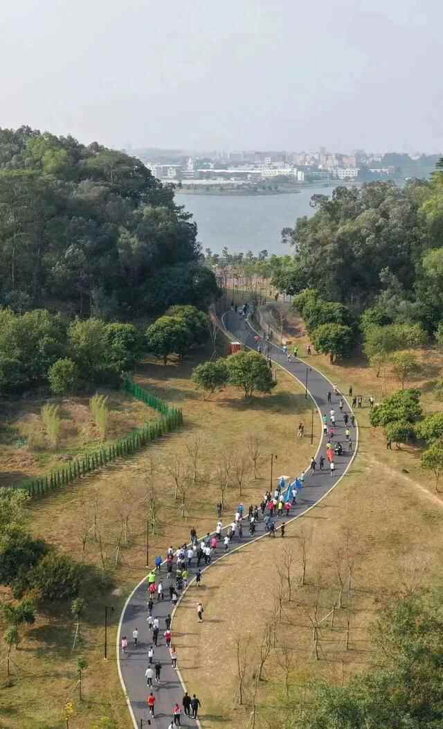 爱在企石丨抓住春天的尾巴！在企石，春日必做的几件小事