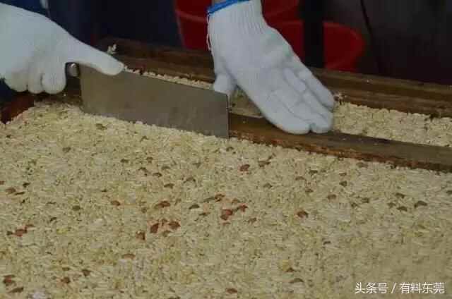 茶山地道美食：就算叫我吃1000+遍也不会腻！