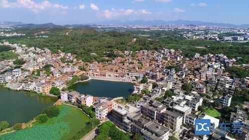 古村新韵④｜企石江边：海瑞曾住过的700年古村正焕发新颜
