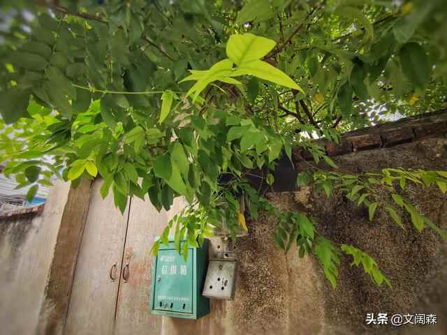 东莞美食 | 麻涌镇、茶山镇、石龙镇、东城街道究竟有多好吃？