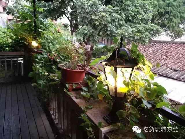 万江隐秘的私房菜餐馆，背着伪“下坝”之名穿街过巷！