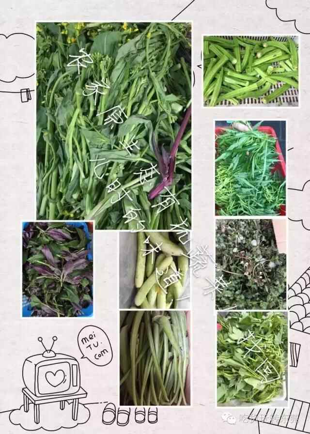 万江隐秘的私房菜餐馆，背着伪“下坝”之名穿街过巷！