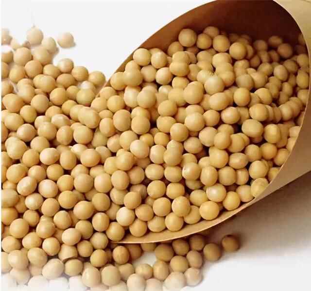 美味青川 | 邂逅古色古香的千年边城风味——青溪豆腐干