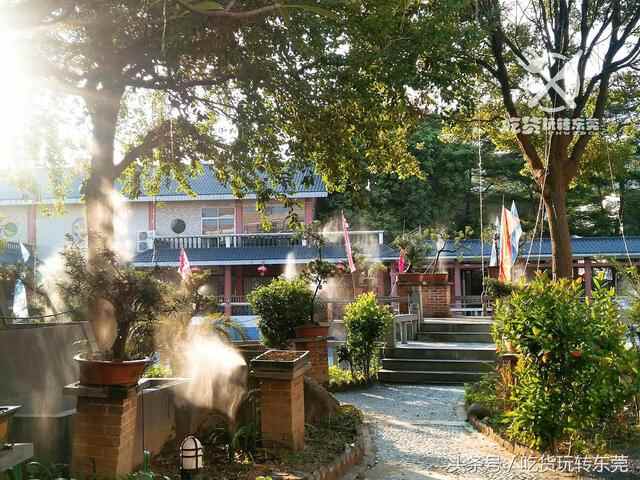 一夜爆红！万江的“桃花源”餐厅，吃到「扶墙」人均只需36.8~