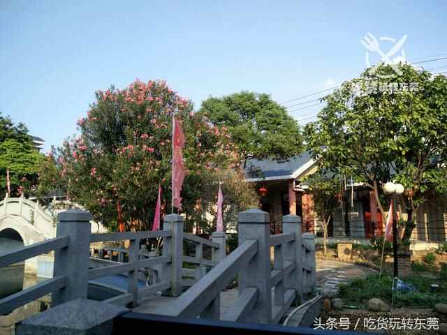 一夜爆红！万江的“桃花源”餐厅，吃到「扶墙」人均只需36.8~