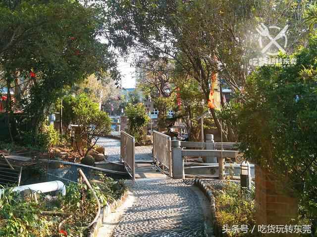 一夜爆红！万江的“桃花源”餐厅，吃到「扶墙」人均只需36.8~