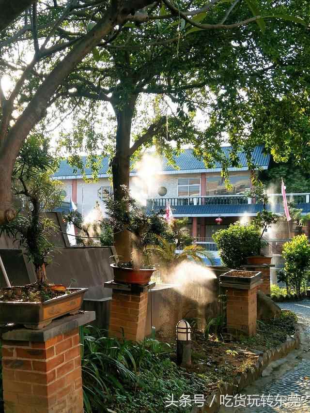 一夜爆红！万江的“桃花源”餐厅，吃到「扶墙」人均只需36.8~