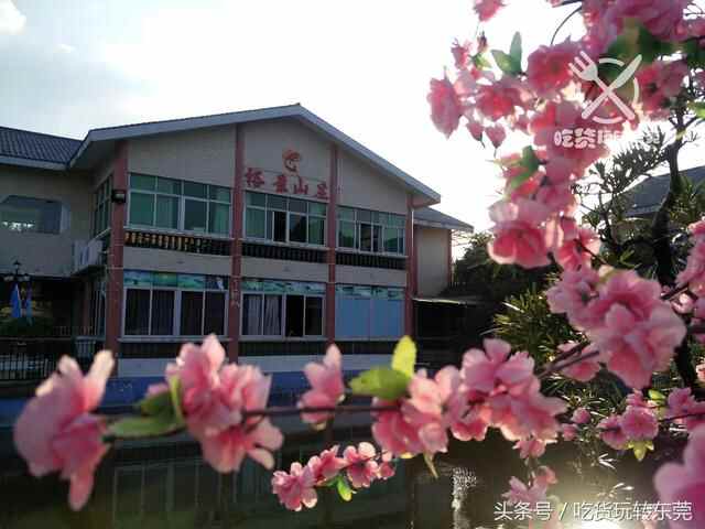 一夜爆红！万江的“桃花源”餐厅，吃到「扶墙」人均只需36.8~