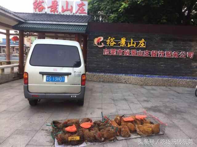 一夜爆红！万江的“桃花源”餐厅，吃到「扶墙」人均只需36.8~