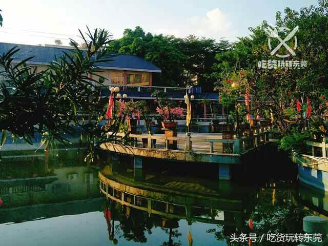 一夜爆红！万江的“桃花源”餐厅，吃到「扶墙」人均只需36.8~