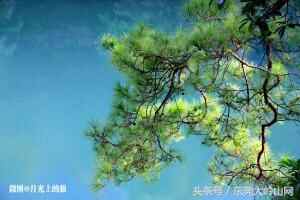 匿藏在大岭山一角的柴火大锅菜，你尝过吗？