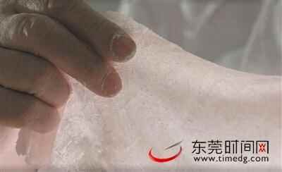《寻味东莞》让中堂这家鱼包店又火了一把