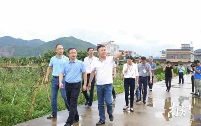 道滘美食轻松买，全省首个镇级“京东地方特产馆”上线