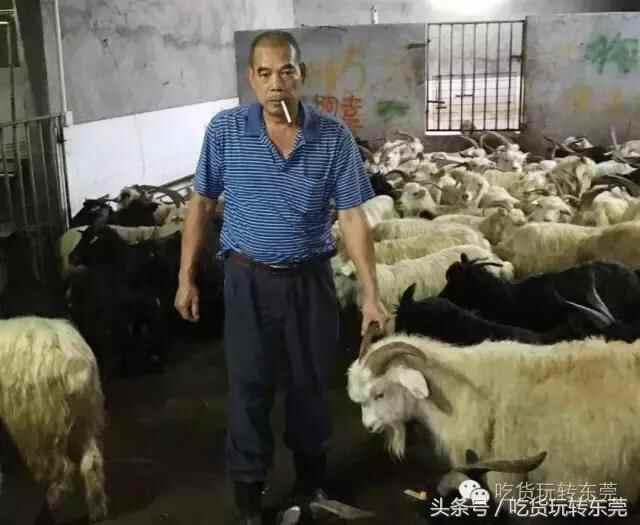 老店私房的“独孤一味”羊肉，洪强阿叔在寮步一煮就煮咗十几年！