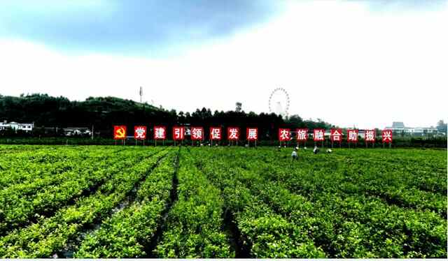 这个藏在乐山的“世外桃源”！美不美你说了算