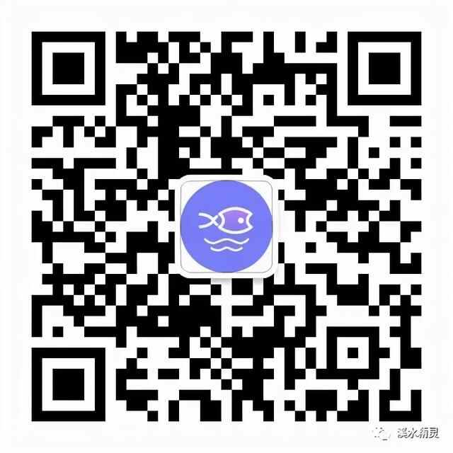 清溪上品，钱鱼的详细介绍