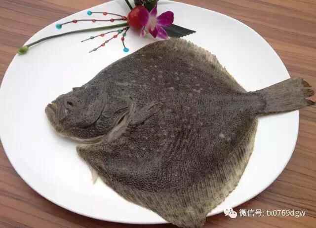 塘厦这家12年的老店重装升级！潮汕美食、低价海鲜吃个够！