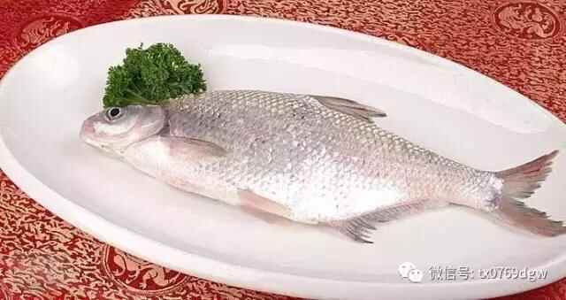 塘厦这家12年的老店重装升级！潮汕美食、低价海鲜吃个够！