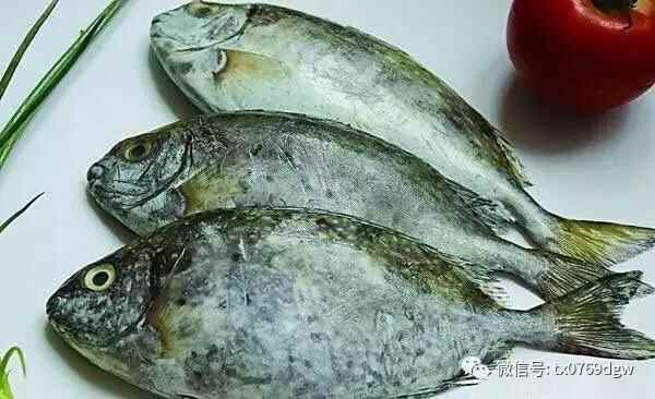 塘厦这家12年的老店重装升级！潮汕美食、低价海鲜吃个够！