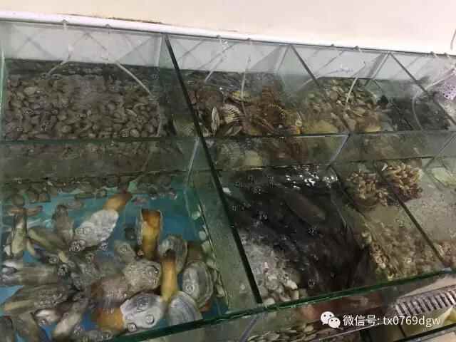 塘厦这家12年的老店重装升级！潮汕美食、低价海鲜吃个够！