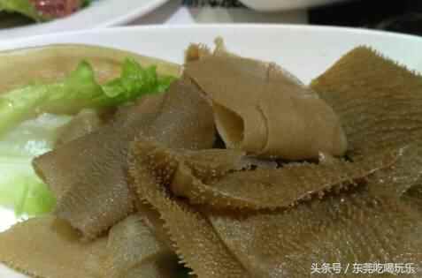 满城跑，带你吃遍东莞的6家特色人气美食，你吃过几家呢？