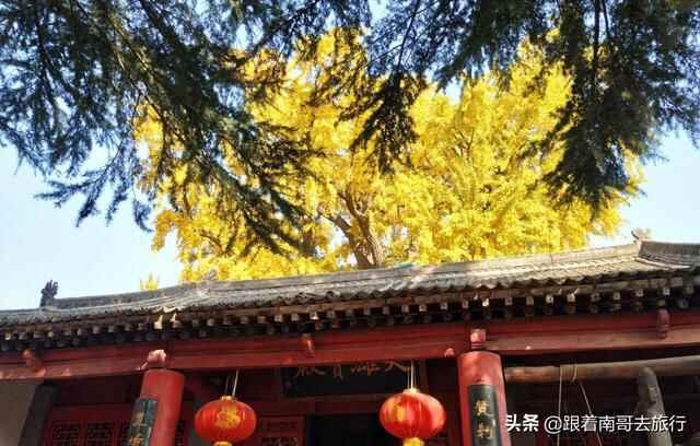 长安坐席臊子面你吃过吗？10元不限量随便吃的那种，聊咋咧