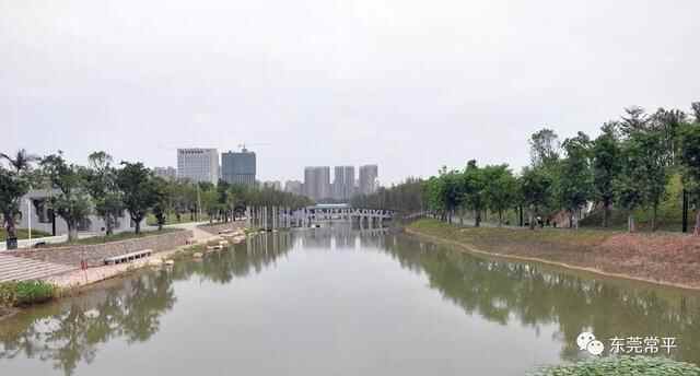 春节假期不远游 吃喝玩乐在常平