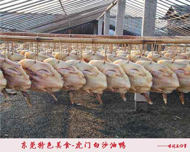 东莞美食：虎门白沙油鸭，你吃过吗？